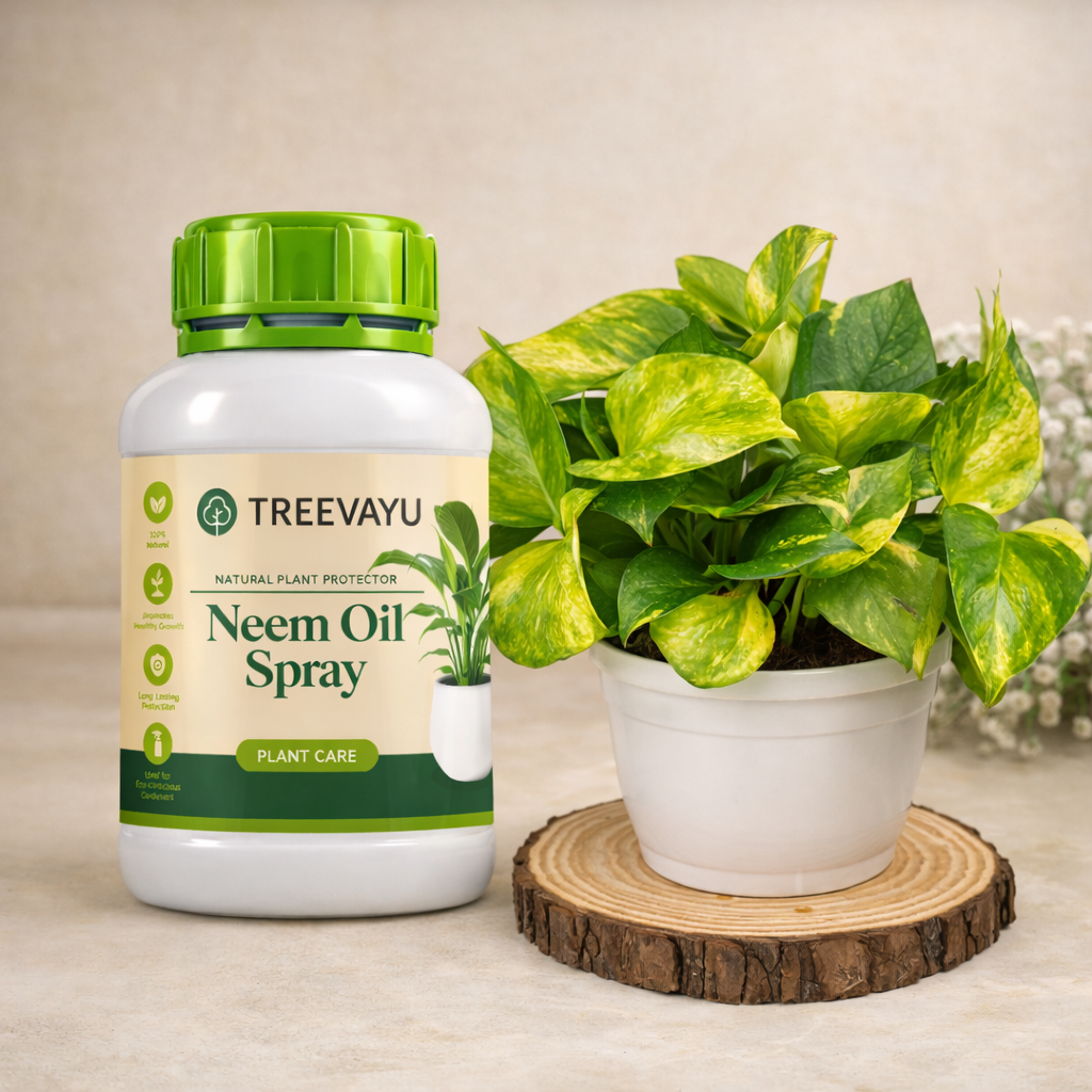 Neem Oil Spray for plants